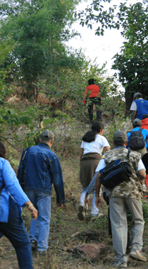 Teerth tiger safari Guide Bandhavgarh