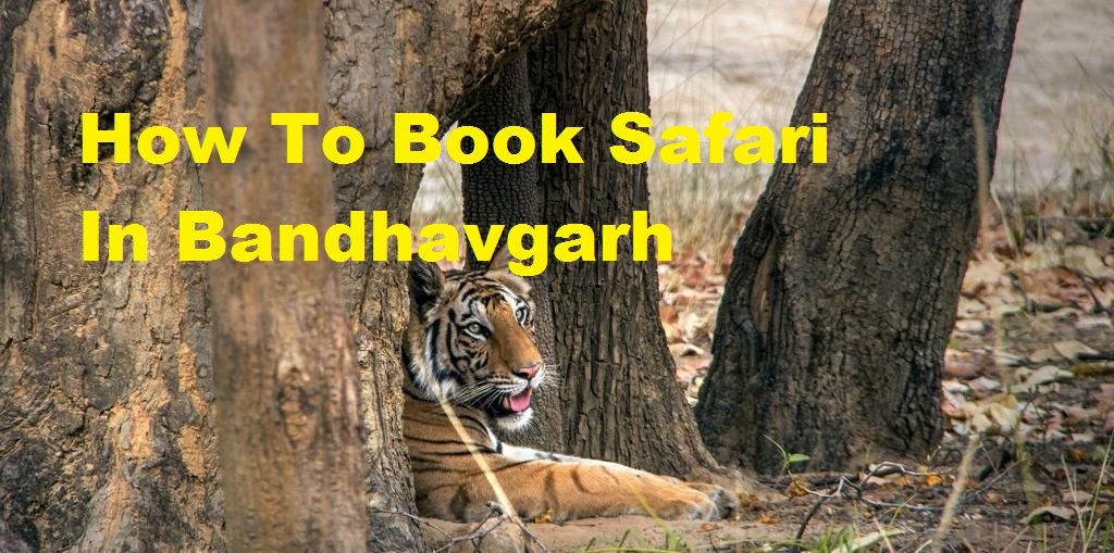 safari booking for bandhavgarh