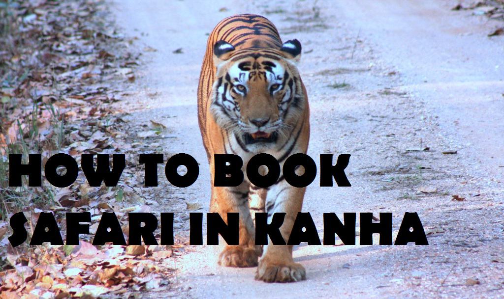 Kanha-Safari-Booking