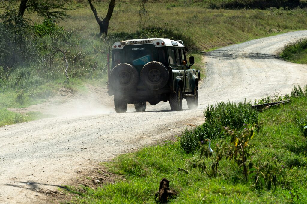Best Tiger Safari in India