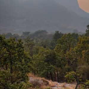 Photographer’s Guide to Bandhavgarh Safari Zones