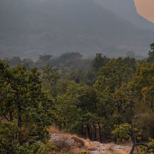 Photographer’s Guide to Bandhavgarh Safari Zones