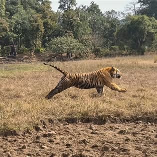 Wildlife Photography