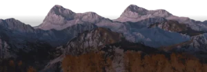 Morning Safaris in Bandhavgarh