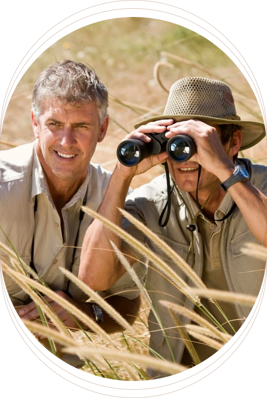 Tiger Safari in Bandhavgarh- Wildlife Photographers Love Bandhavgarh