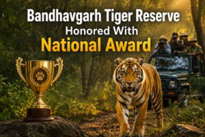 Bandhavgarh Tiger Reserve