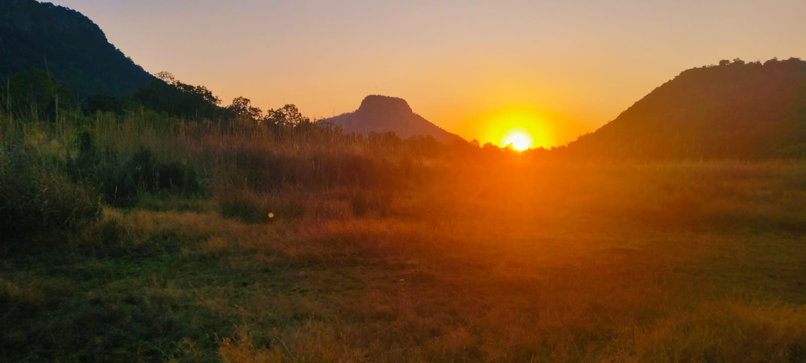 Bandhavgarh Landscape